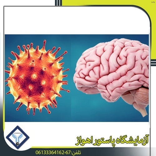 تاثیر ویروس کرونا بر سیستم عصبی_6