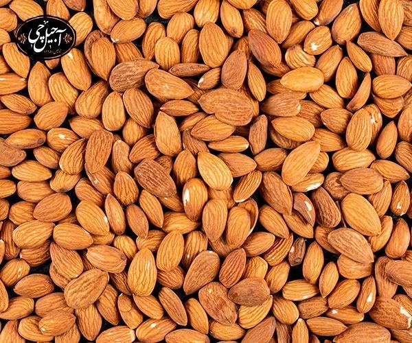 تخمه کدو برای وزن گیری جنین_10
