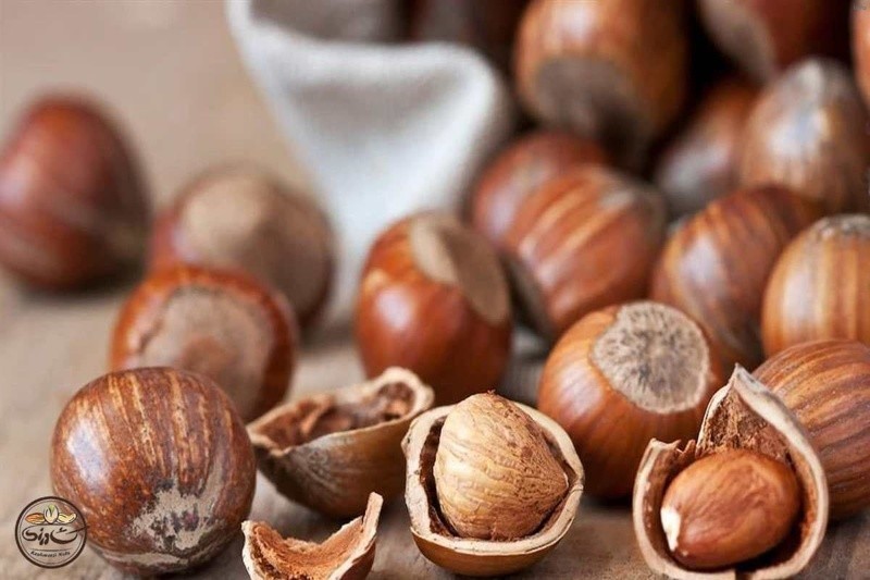 تخمه کدو برای وزن گیری جنین_3