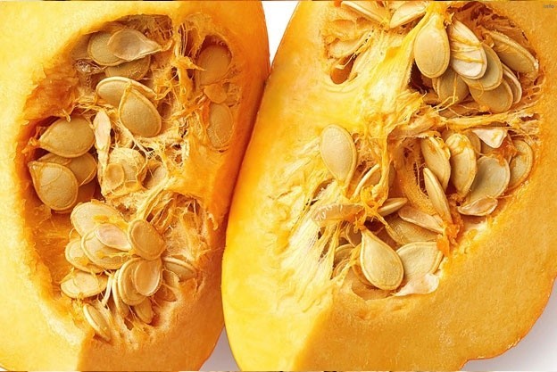 تخمه کدو پروتئین دارد_7
