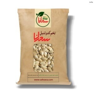 تخمه کدو پروتئین دارد_8