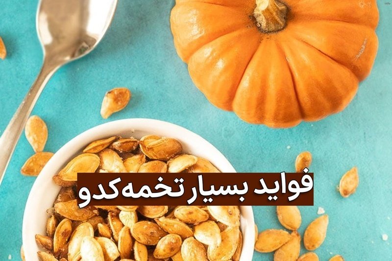 تخمه کدو چه طبعی دارد_9