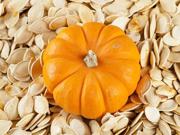تخمه کدو چه فایده ای دارد_6