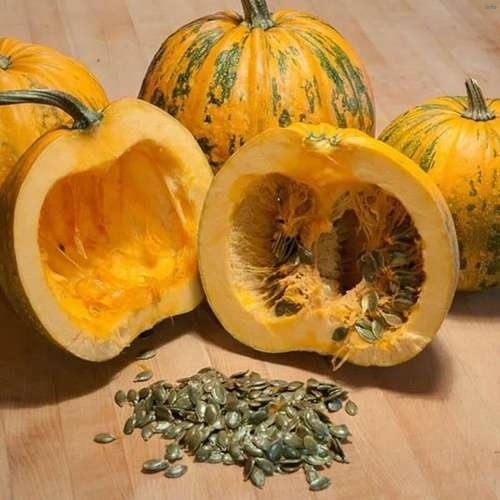 تخمه کدو کاغذی_1