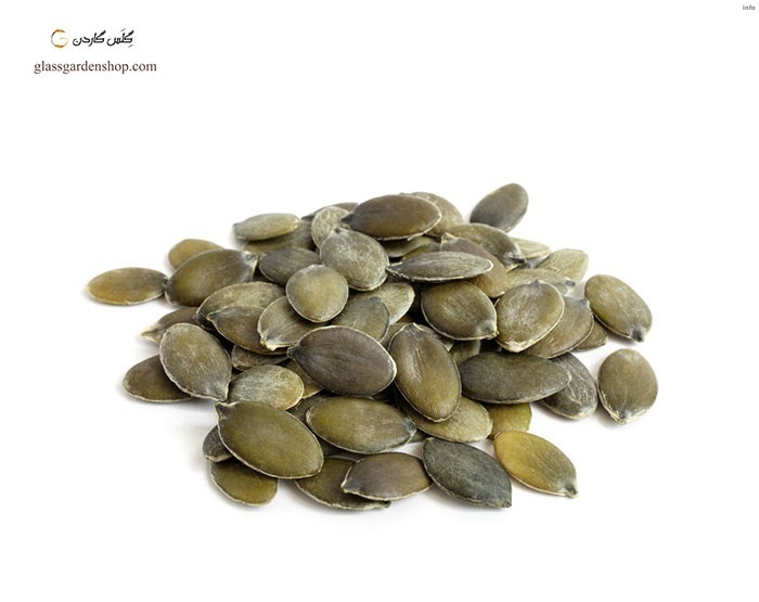 تخمه کدو کاغذی_3