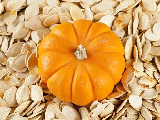 تخمه کدو کاغذی_5