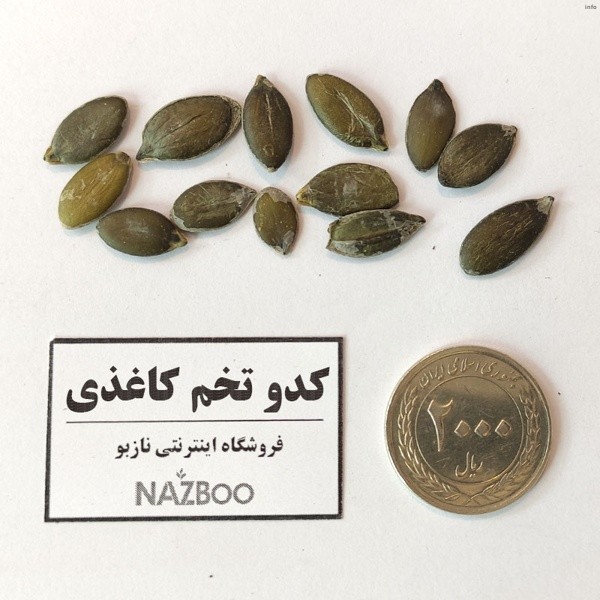 تخمه کدو کاغذی_9
