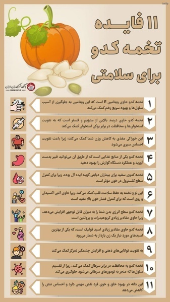 تخمه کدو کربوهیدرات دارد_1