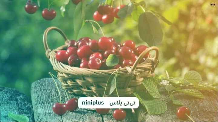 خواص آلبالو برای جنین_6