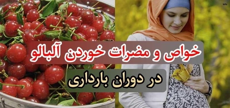 خواص آلبالو برای جنین_7