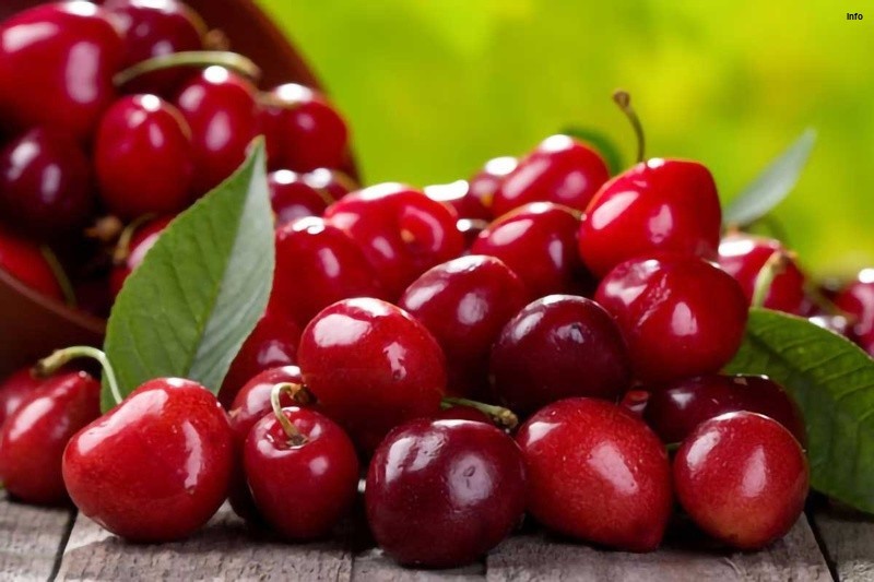 خواص آلبالو برای عفونت_10