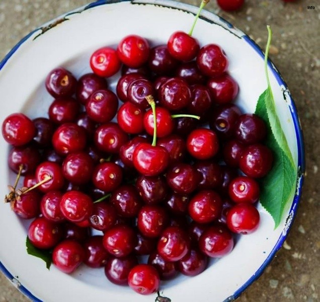 خواص آلبالو برای قند_8