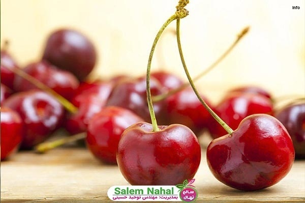 خواص آلبالو برای کم خونی_10