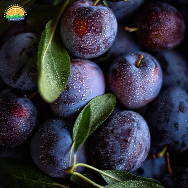 خواص آلبالو برای کم خونی_8