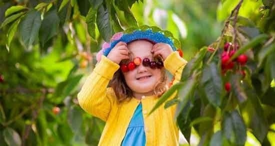 خواص آلبالو برای کودکان_2