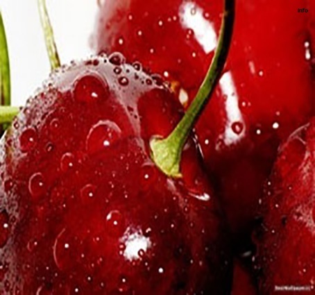 خواص آلبالو برای کیسه صفرا_1