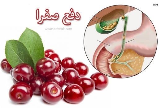 خواص آلبالو برای کیسه صفرا_6
