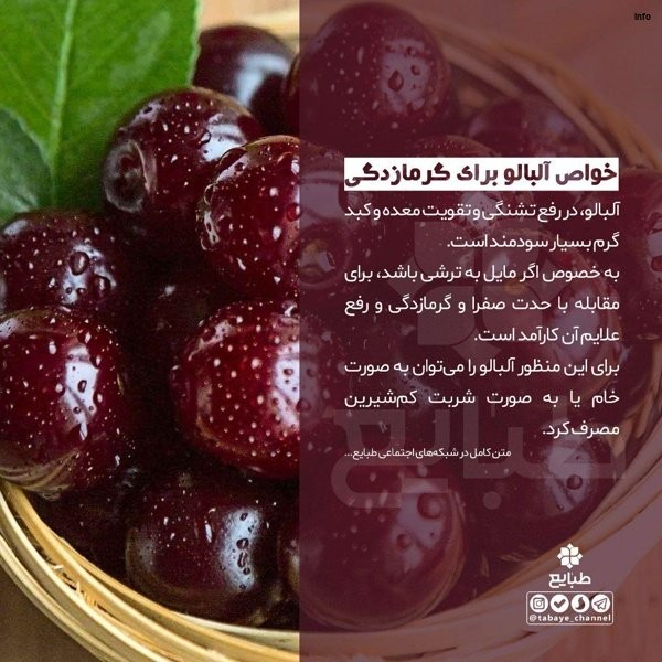 خواص آلبالو ترشی_4
