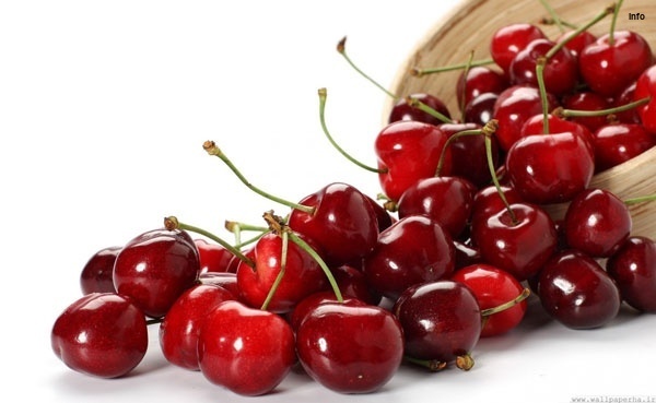 خواص آلبالو در شب_10