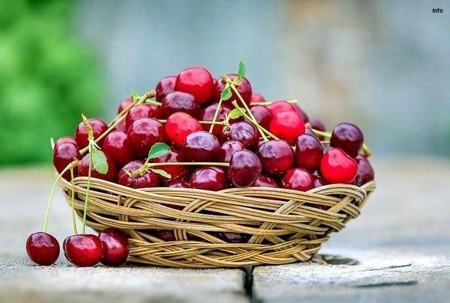 خواص آلبالو در شیردهی_6