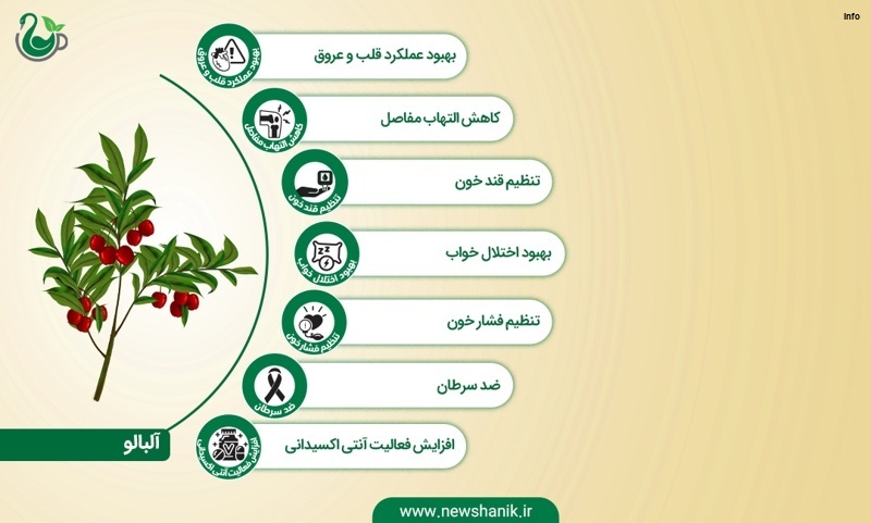خواص آلبالو زرد_9