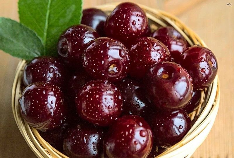 خواص آلبالو سرد است یا گرم_1