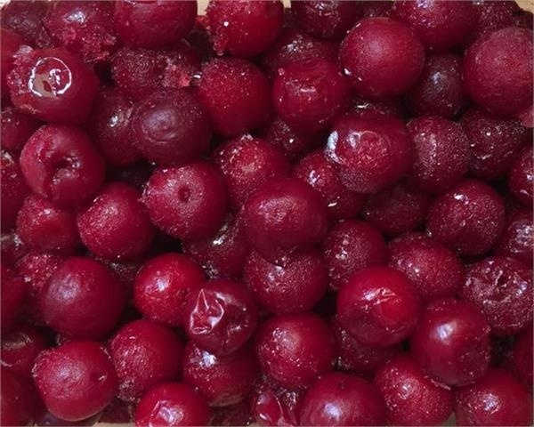 خواص آلبالو فریز شده_6