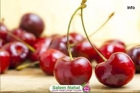 خواص آلبالو قرمز_1