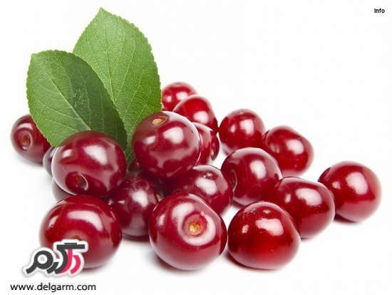 خواص آلبالو مجاری_6