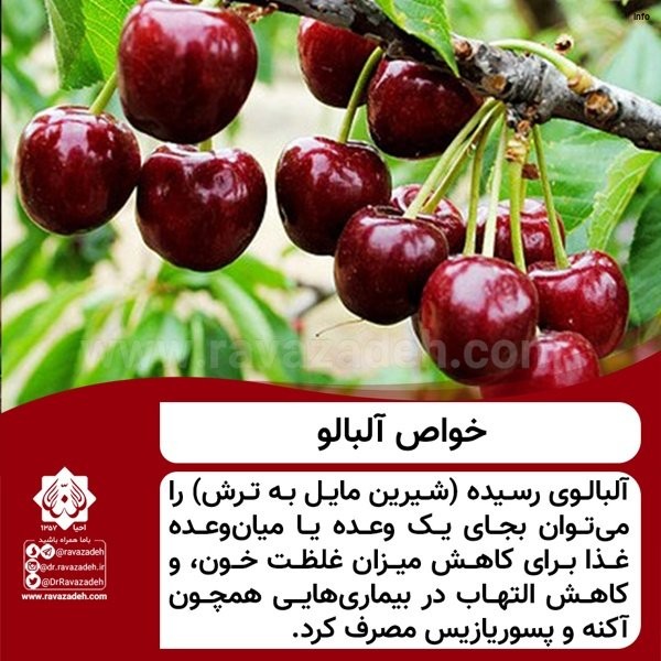 خواص آلبالو و گیلاس_6