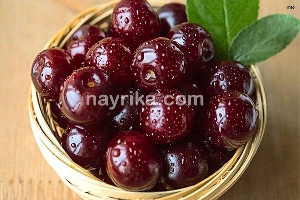 خواص آلبالو پخته شده_10