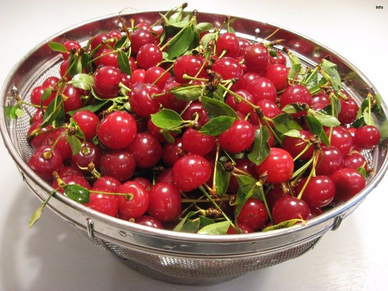 خواص آلبالو پخته شده_5