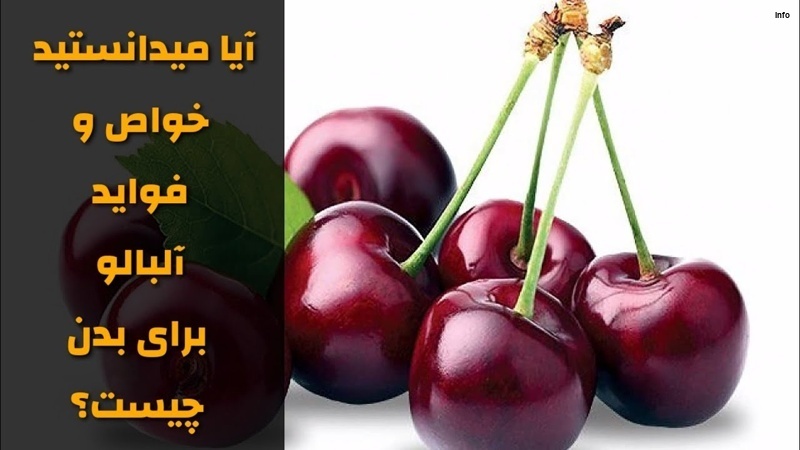 خواص آلبالو چیه_9