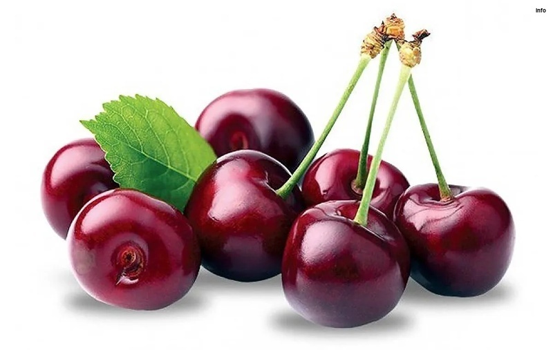 خواص آلبالو گیلاس پیوندی_6