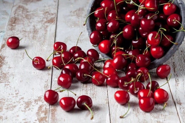 خواص آلبالو گیلاسی در طب سنتی_9