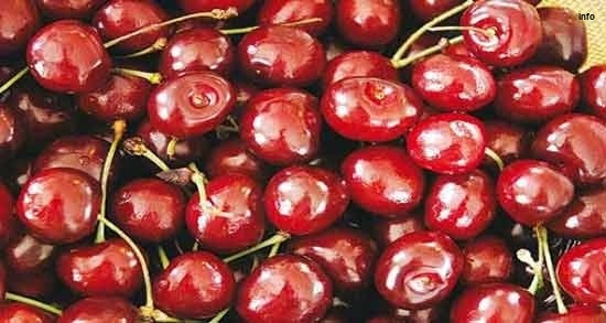 خواص آلبالو گیلاسی در طب سنتی_4