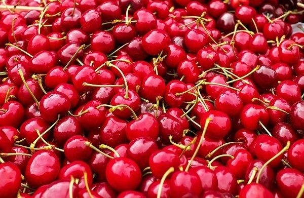 خواص اصلی گیلاس_8