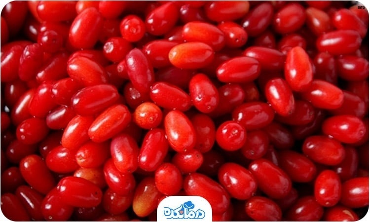 خواص البالو اخته_1