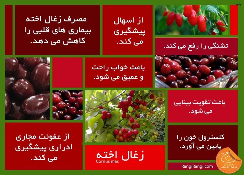 خواص البالو اخته_4