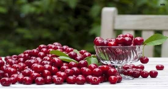 خواص البالو برای ریه_3