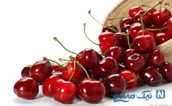 خواص البالو برای ریه_8