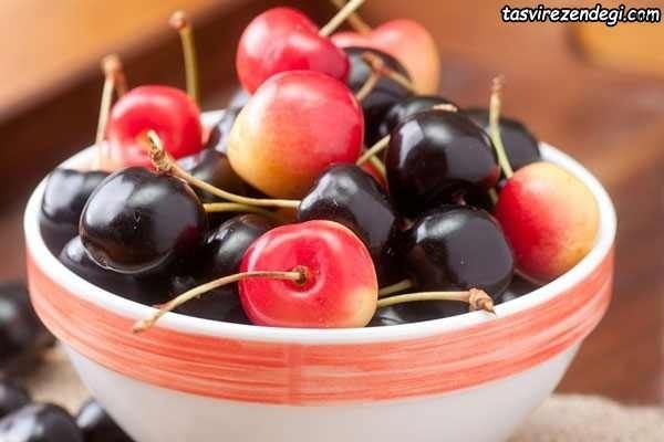 خواص البالو و گیلاس_4