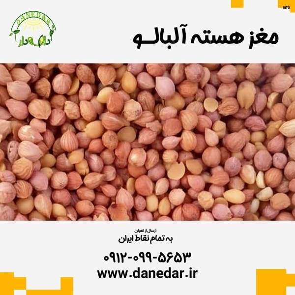 خواص تخم آلبالو_3
