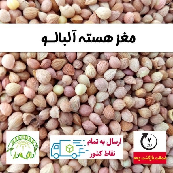 خواص تخم آلبالو_7