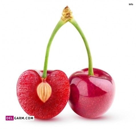 خواص تخم آلبالو_8