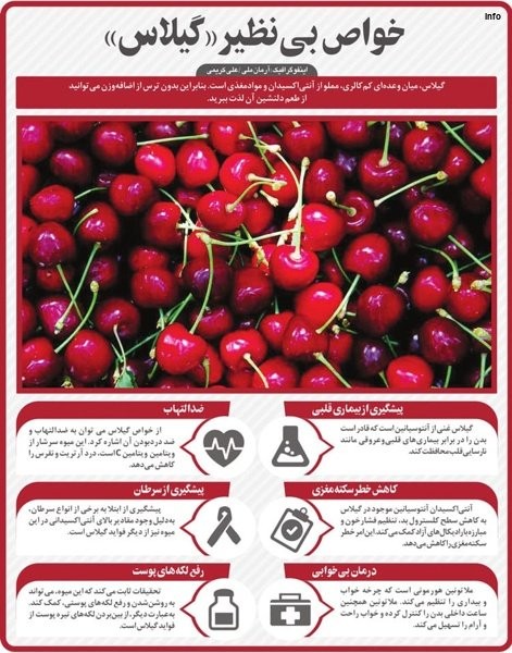 خواص تخم گیلاس_9