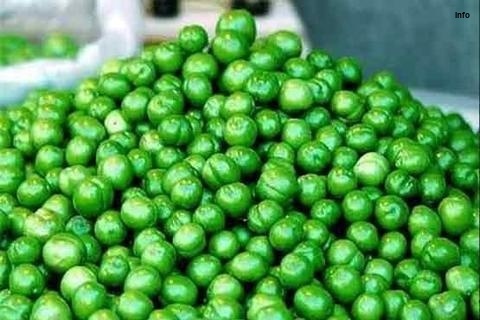 خواص ترشی گوجه سبز_10
