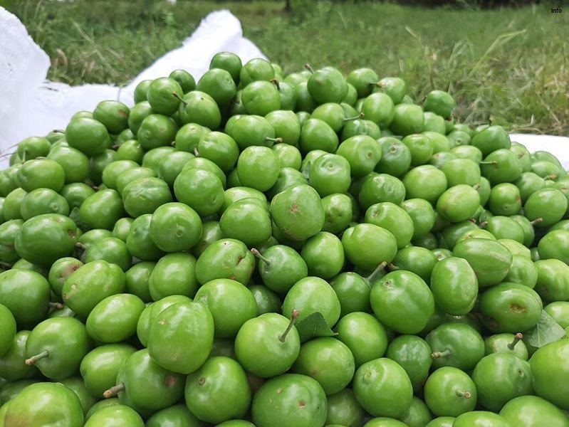 خواص ترشی گوجه سبز_7