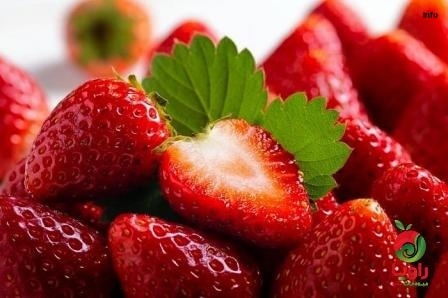 خواص توت فرنگی برای تنبلی تخمدان_7