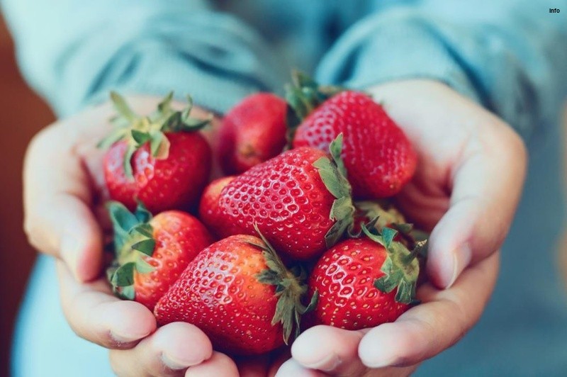 خواص توت فرنگی برای روده_5